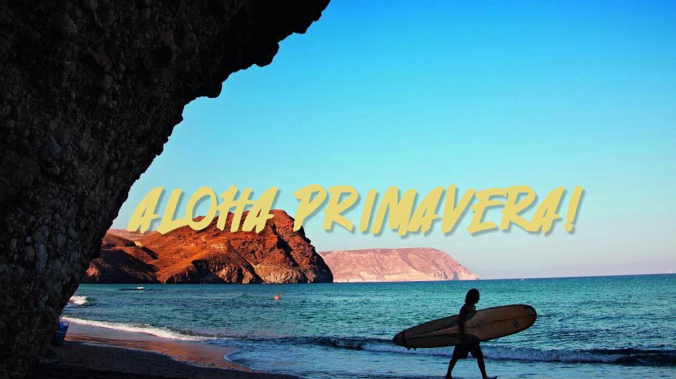 ¿Eres un primavera lover? Descúbrelo acá - Reckless