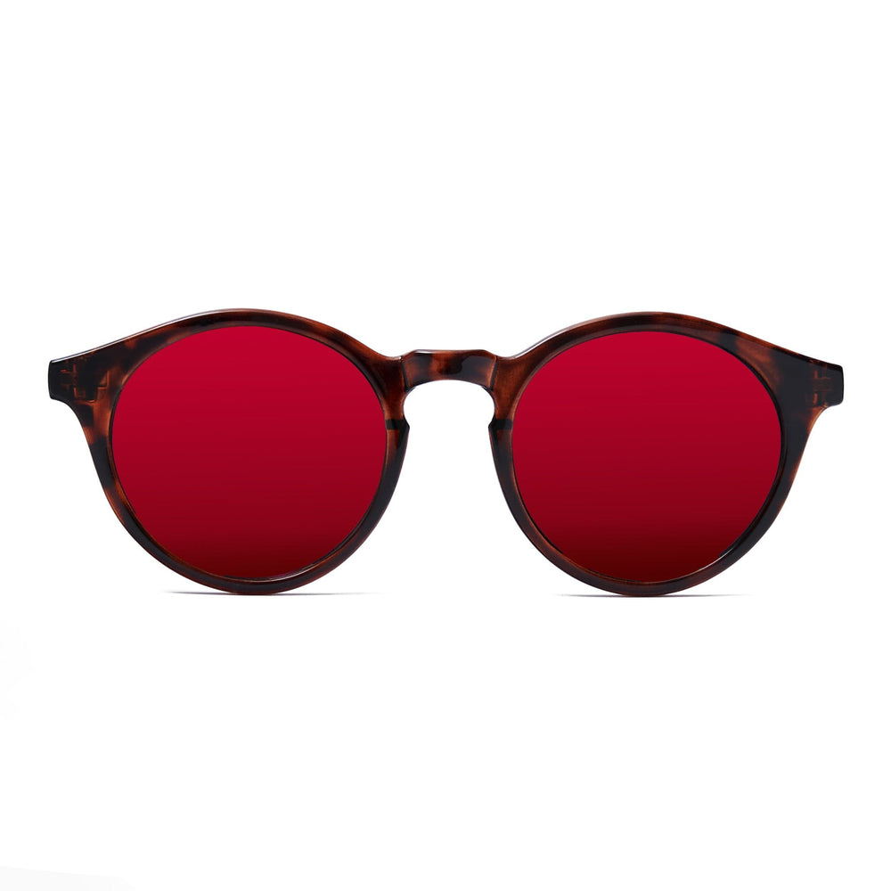 Cujas Tortoise/Red