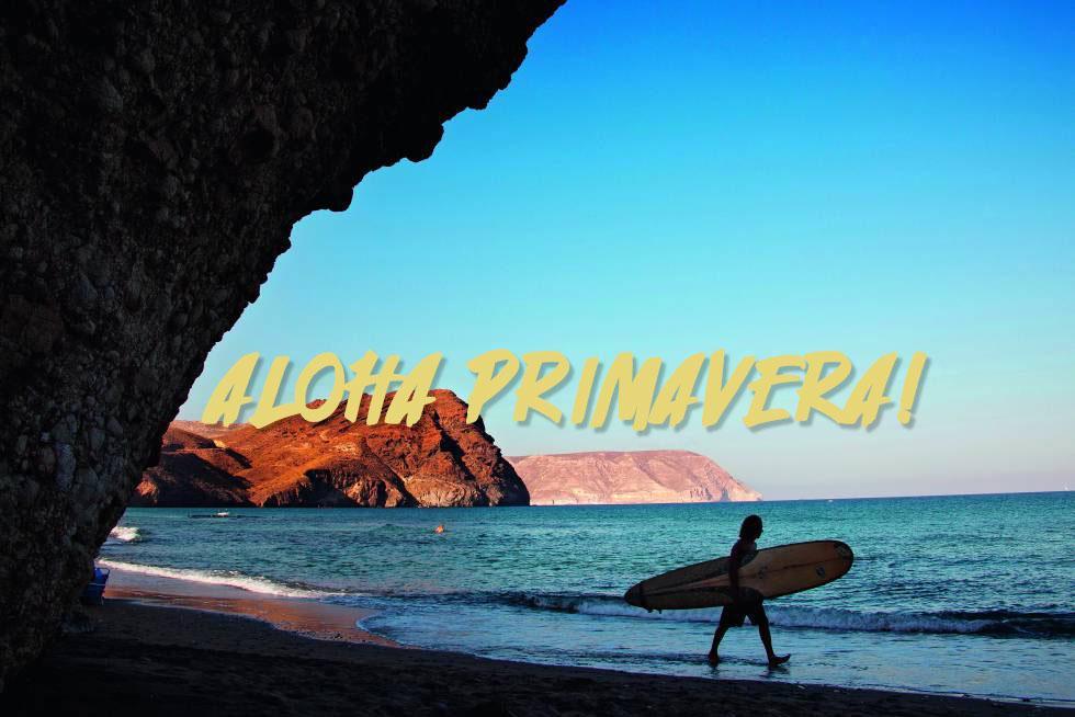 ¿Eres un primavera lover? Descúbrelo acá - Reckless