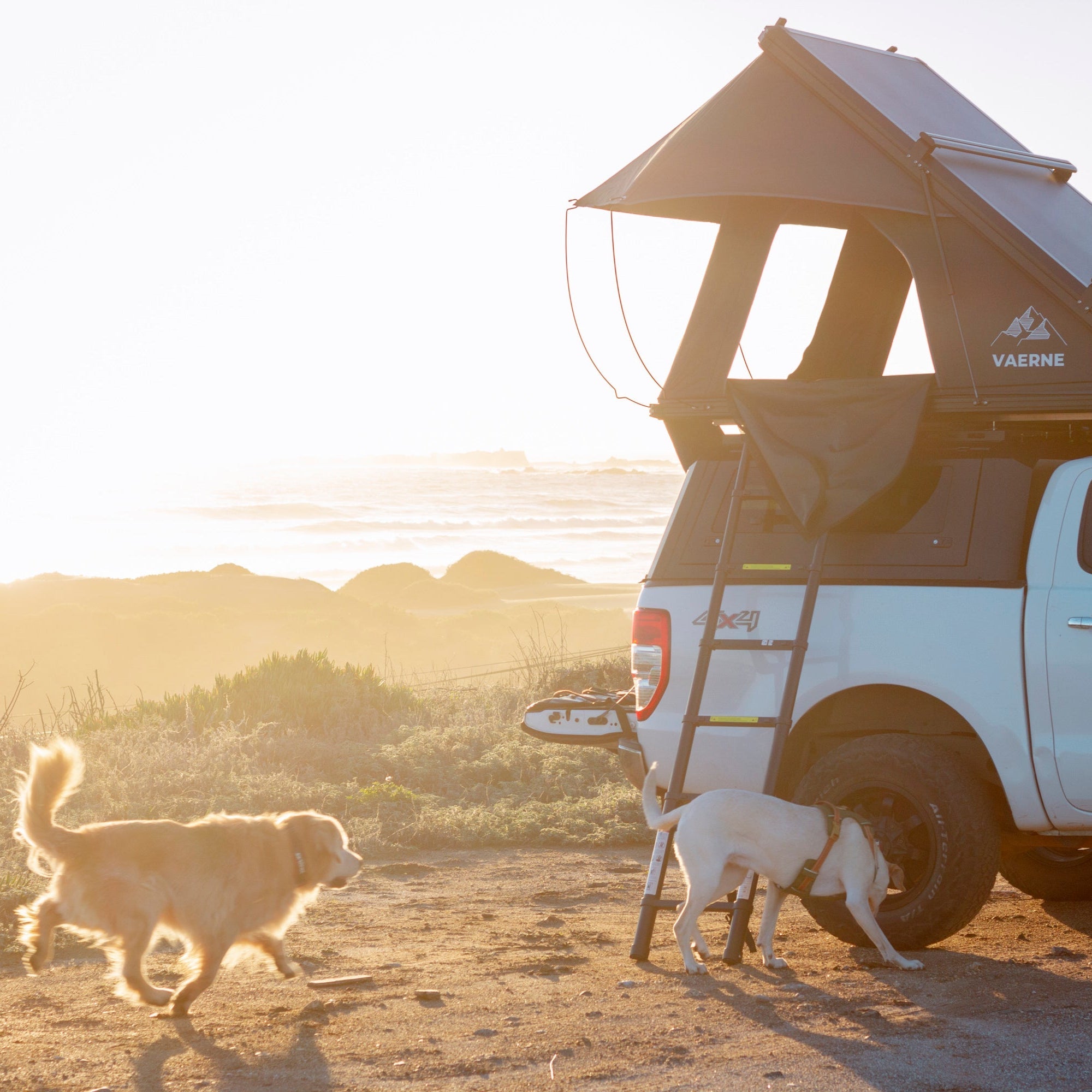 Carpa de Techo Vaerne 2 Personas - Lista en 15 Segundos | Hasta 12 cuotas - Reckless