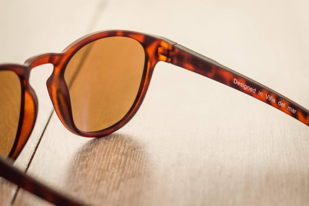 Wing Tortoise-Lentes-De-Sol-Reckless